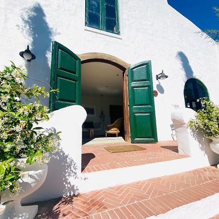 Отель Vineyard Retreat Франсхук Экстерьер фото